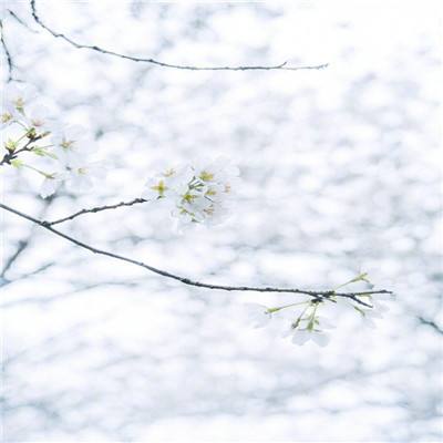 天使觉醒手游下载